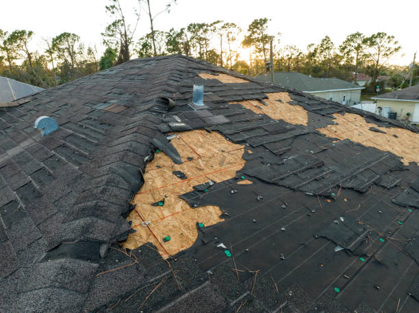 Best Roof Leak Repair  in Arnold, MD