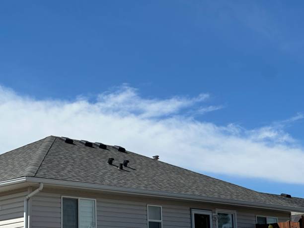 Best Roof Insulation Installation  in Arnold, MD